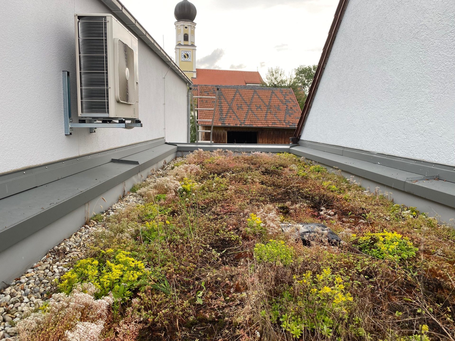 Extensivdach auf dem Feuerwehrgerätehaus Geltolfing